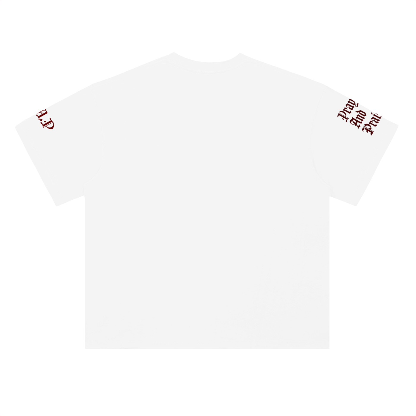 Pray & Praise - Cotton T-Shirt