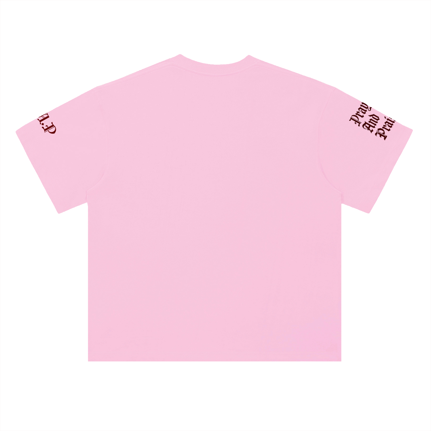 Pray & Praise - Cotton T-Shirt