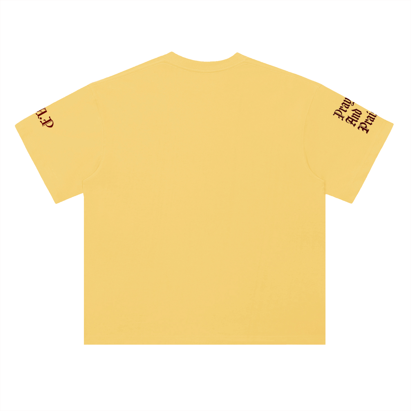 Pray & Praise - Cotton T-Shirt