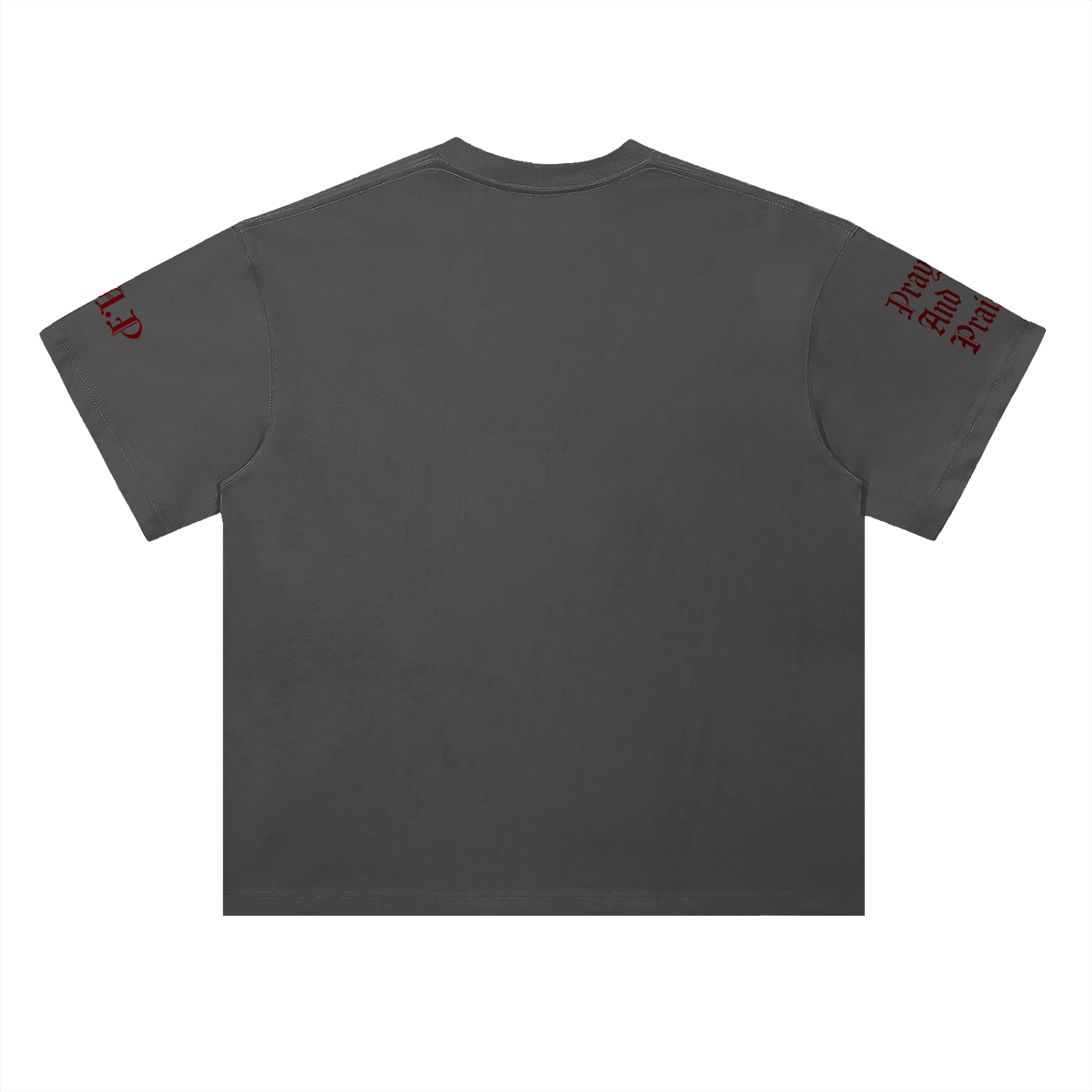 Pray & Praise - Cotton T-Shirt